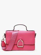 Small Leather Altesse Crossbody Bag Etrier Pink altesse EALT048S